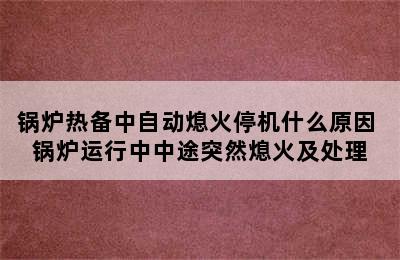 锅炉热备中自动熄火停机什么原因 锅炉运行中中途突然熄火及处理